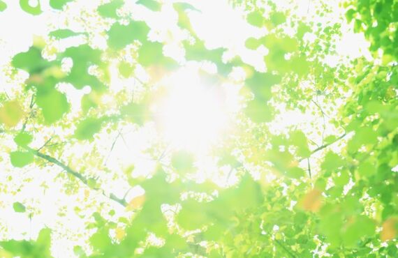 福岡市東区で個室の美容室をお探しならFeliceへ