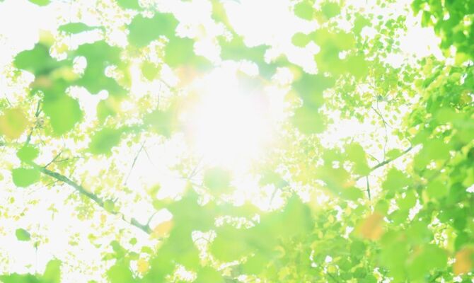 98b42f28abaa397efabf397b5c18a71b_m