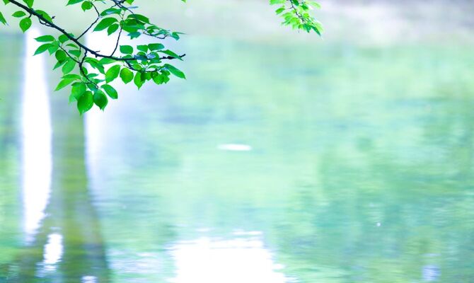 paylessimages141232590